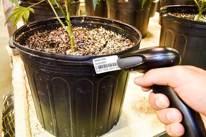 medical cannabis barcode biotrackthc